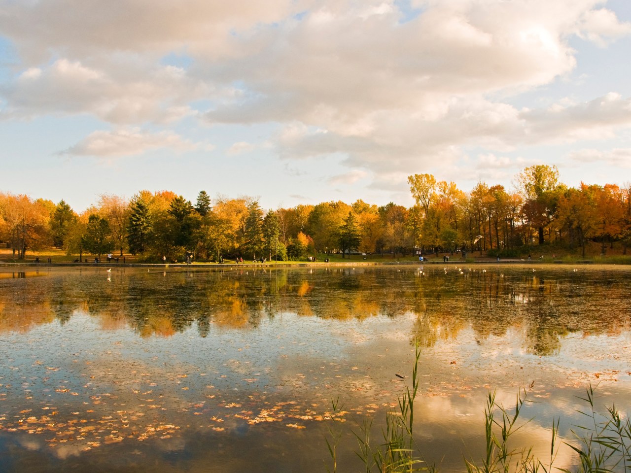 Лучшие городские парки мира