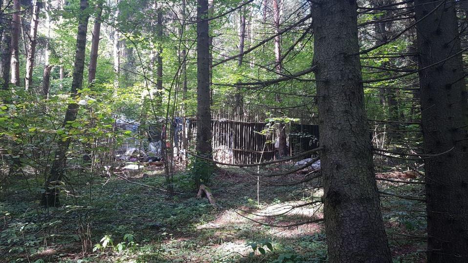 У задержанного за нападение на дом Эллы Памфиловой нашли фаллоимитаторы У задержанного за нападение на дом Эллы Памфиловой нашли фаллоимитаторы иностранец,инцидент,нападение,общество,памфилова,россияне