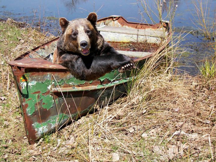 Только в России. Без алкашей и помоек позитив, россия, фото