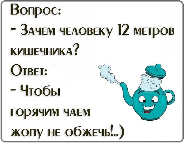 Сегодня на улице даже чёрная кошка обошла меня стороной… Юмор