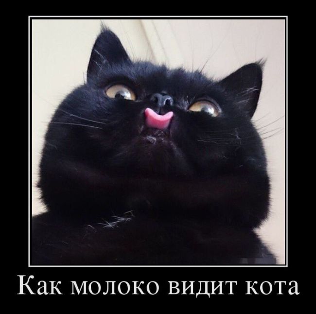 Подборка интересных и веселых картинок №33 демотиваторы