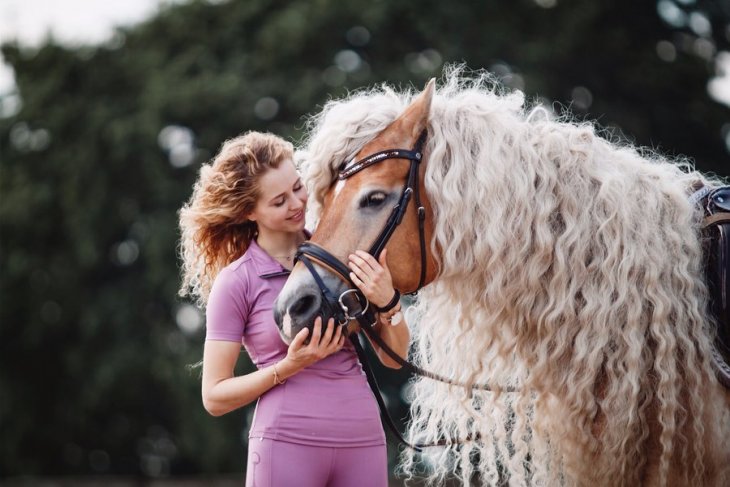 Шторм — сказочная лошадь Хафлингера Шторм — сказочная лошадь Хафлингера животные,природа