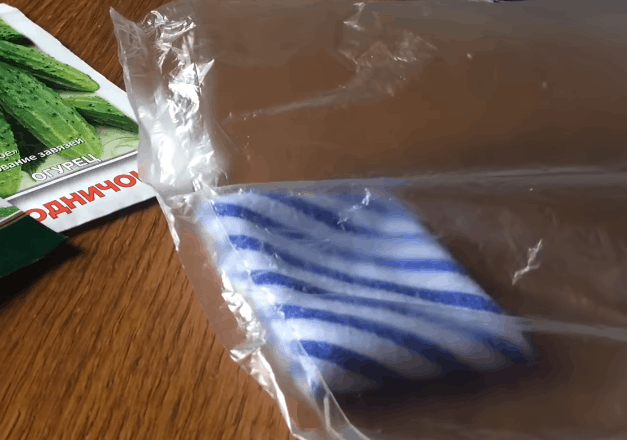 Экспресс-метод выращивания рассады огурцов: быстрее просто не бывает! огород,огурцы,рассада