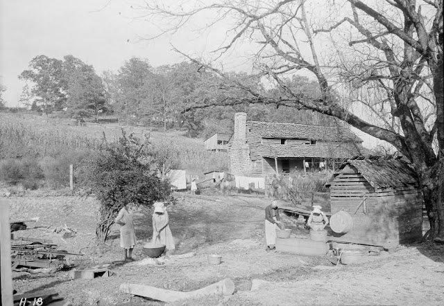 Великая депрессия: трудная жизнь в США 1930-х жизнь, Льюис, горах, людей, пострадавших, засухи, страны, Позже, получил, поручение, задокументировать, восточного, отправили, Теннесси, общей, сложности, сделал, более, работ, которые