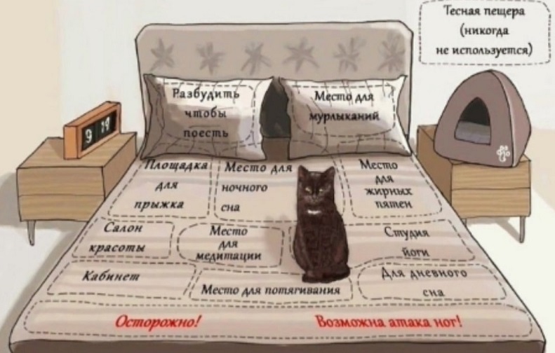 Что вообще происходит? Что вообще происходит? Сейчас, смирно, потом, отсюда, убирай, открой, большая, Такая, Зачем, можно, спать, время, опять, место, лезешь, девается, слово, Теперь, подвинься, извозилась