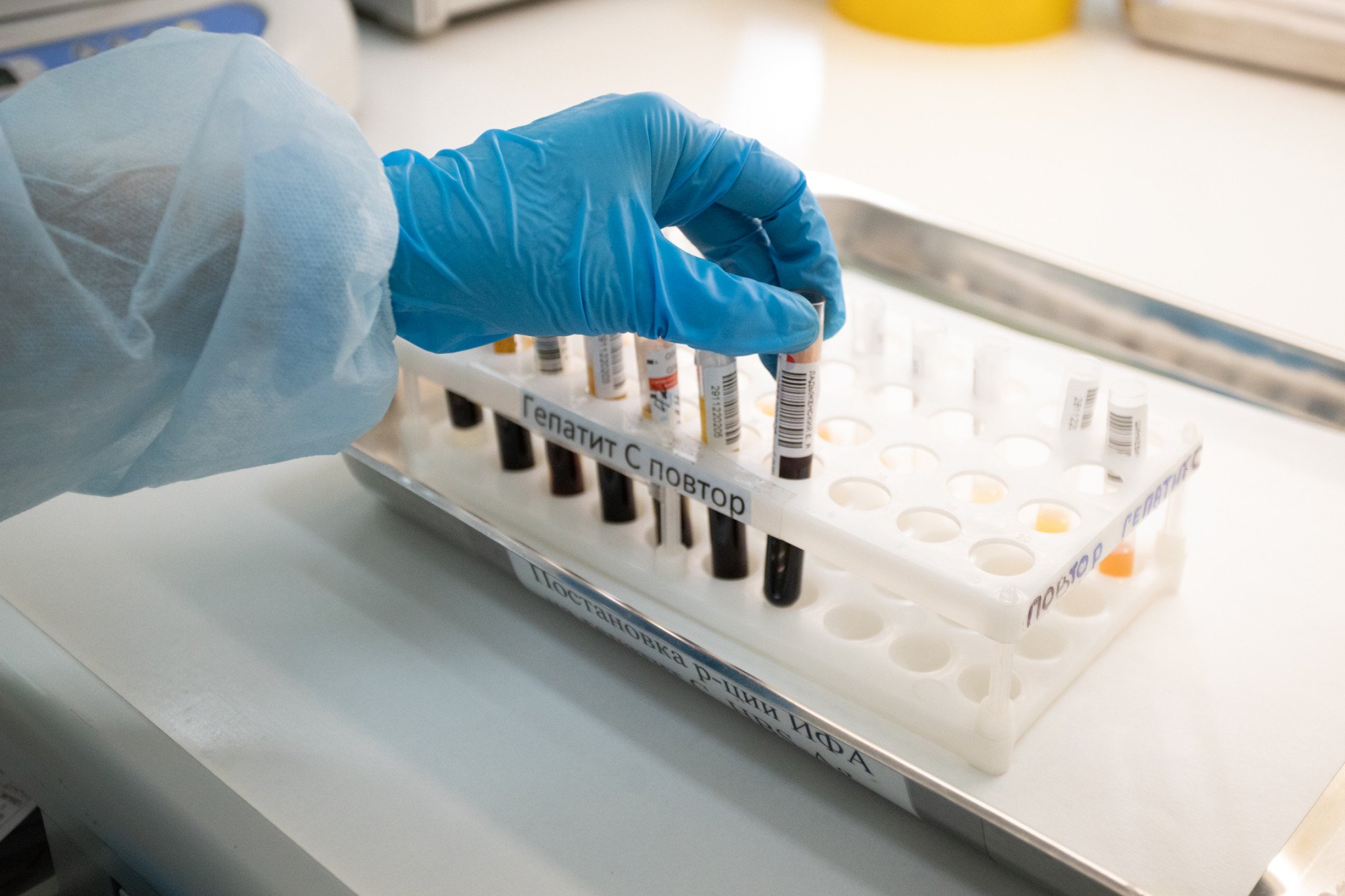 Позиция оппонентов проведения опытов на собаках: