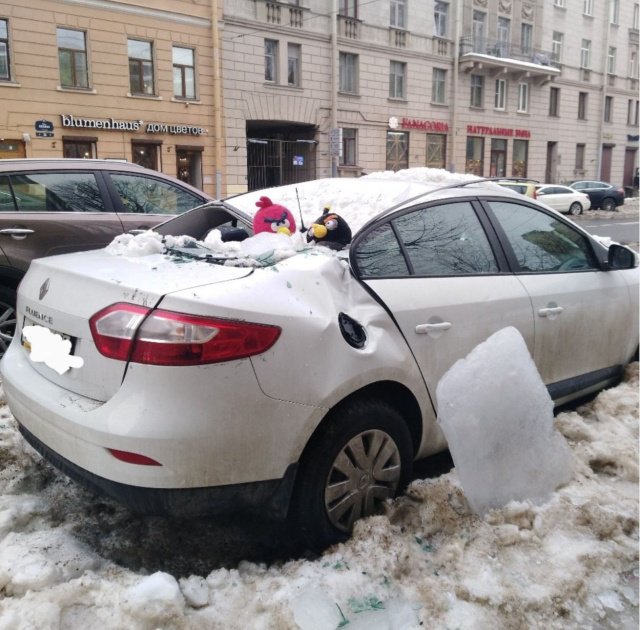 Фотоподборка четверга 14 Февраля 