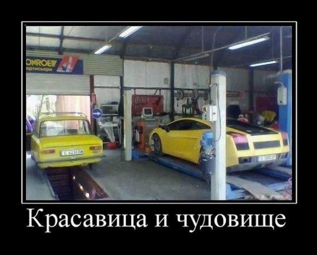 Традиционная коллекция демотиваторов для ценителей приколов и юмора! 