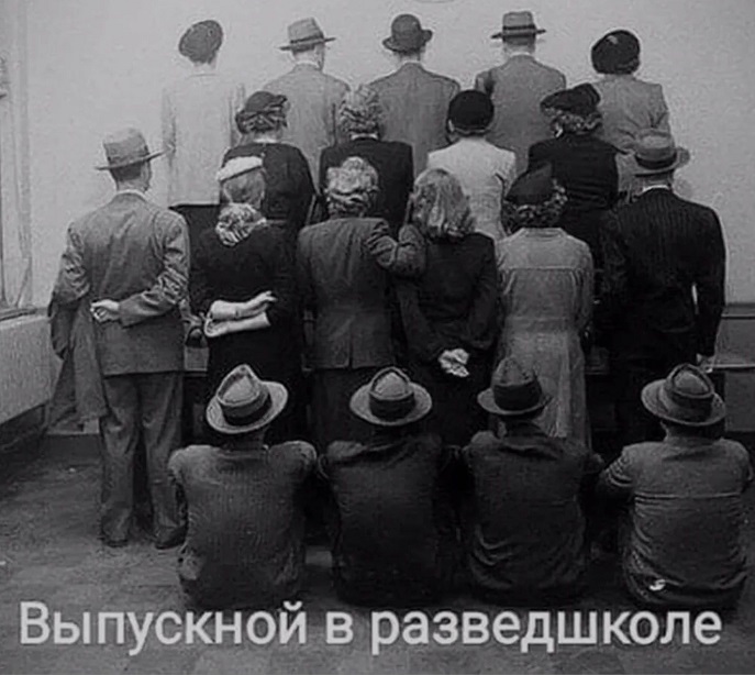 Отруби. Это был очень быстрый тест на то, викинг вы или диетолог Отруби. Это был очень быстрый тест на то, викинг вы или диетолог опаздываю, работу, значит, бегать, троллейбусом, гордость, вообщето с , Дарья, Романова