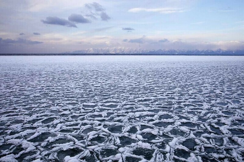 Фото: Александр Ведерников