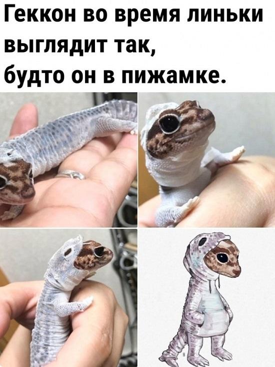 Немного улыбки... Немного улыбки...