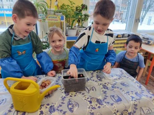 Выращивание и наблюдение за луком – это не только увлекательное занятие, но и источник новых знаний.