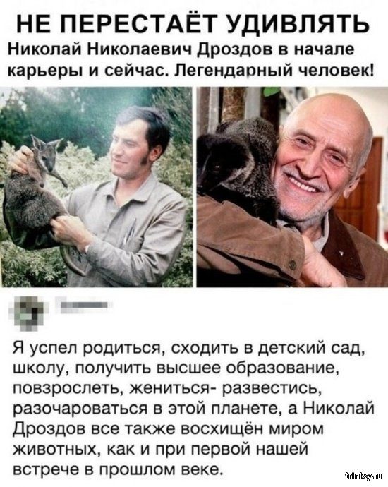 Смешное из соцсетей Смешное из соцсетей