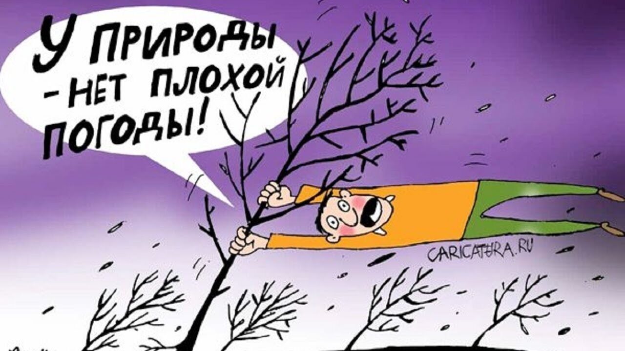 Прикольные открытки для поднятия настроения 