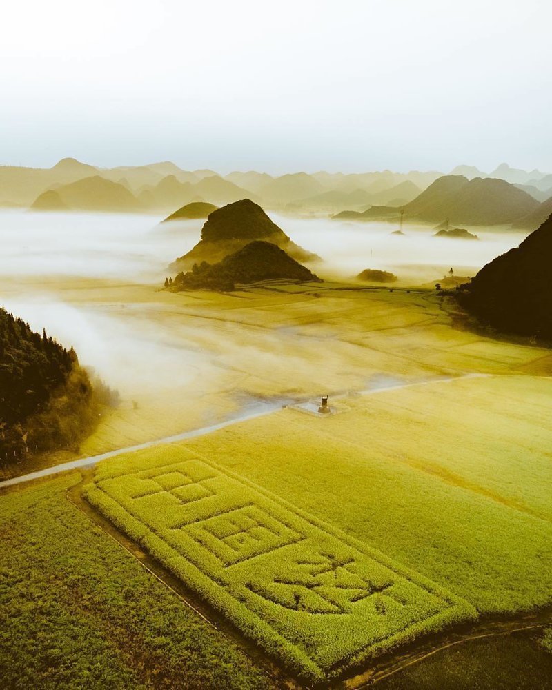 Бескрайние поля в Китае дроны, фото с высоты, фотографии с дронов, фотография