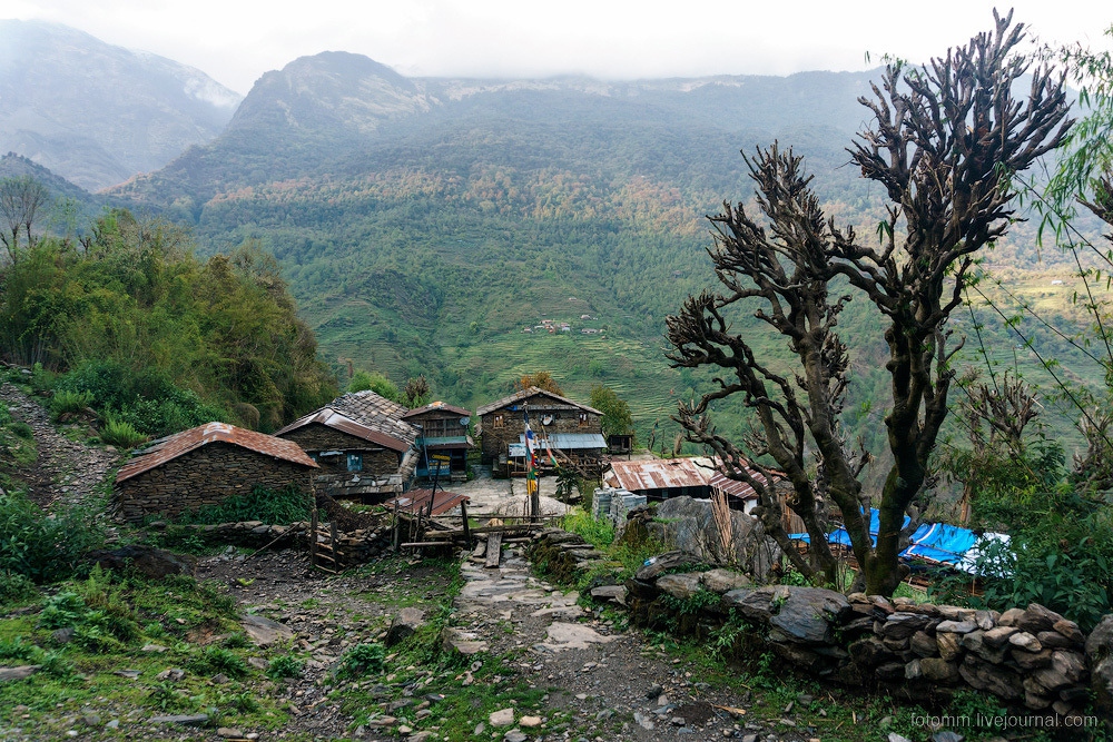 Чем живут в горах Непала 