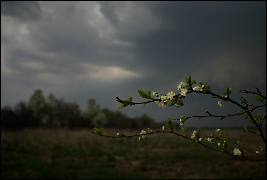 Впечатляющие фотографии грозы весна, гроза, фото