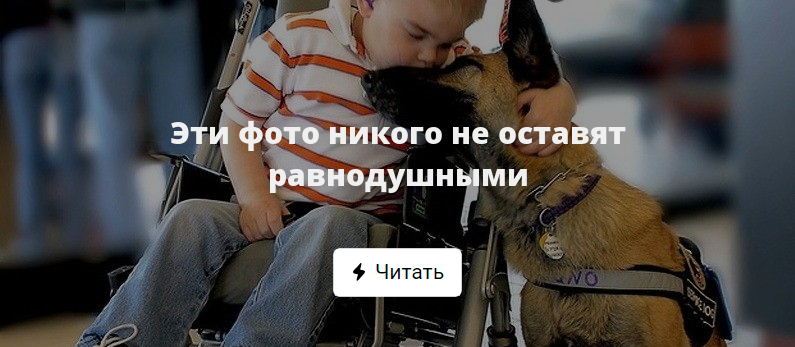 галимова вместе картинки которые не оставят равнодушными никого что надо написать
