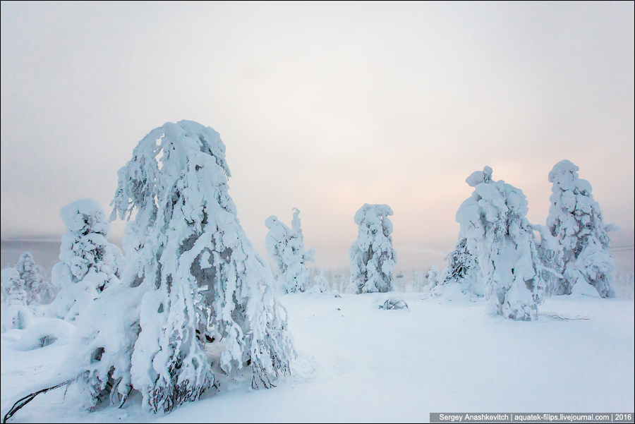 Зима в Лапландии / Winter in Lapland