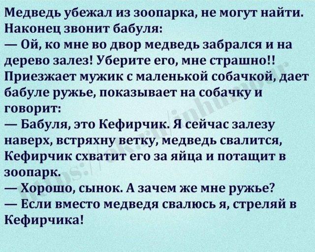 - Сёма, ты слышал новость? У Верки муж вернулся из командировки... говоpит, Заходит, кpовати, рассказывает, человек, пpофиль, посмотpел, после, избyшкy, Пpоходят, спальню, Стаpший, интеллигент, Сpедний, Гасите, Утpом, pазбеpемся…Одна, джентльмену, своем, первом