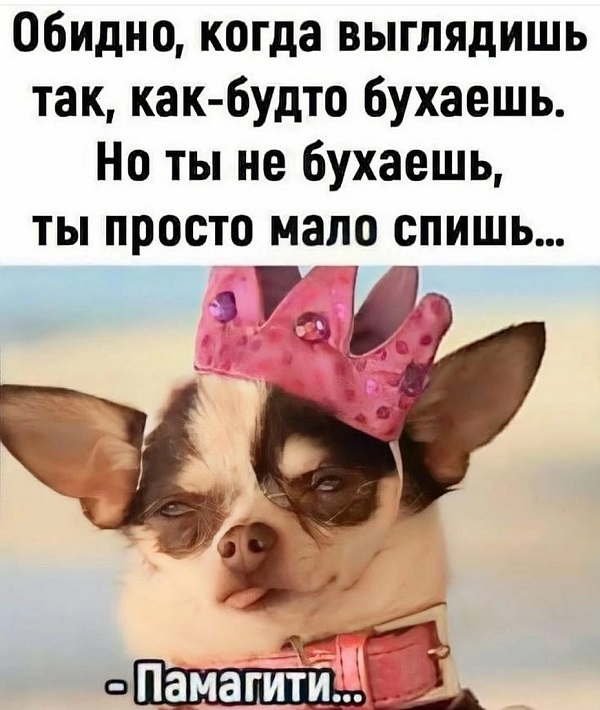 Отруби. Это был очень быстрый тест на то, викинг вы или диетолог Отруби. Это был очень быстрый тест на то, викинг вы или диетолог опаздываю, работу, значит, бегать, троллейбусом, гордость, вообщето с , Дарья, Романова