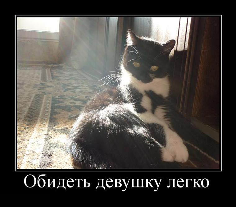 Ржачные и зачетные демотиваторы для поднятия настроения из нашей жизни (11 фото) Ржачные и зачетные демотиваторы для поднятия настроения из нашей жизни (11 фото)