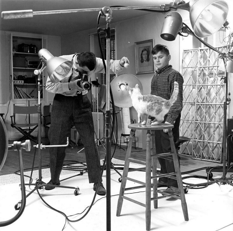 15 работ фотографа, который 75 лет снимал кошек 15 работ фотографа, который 75 лет снимал кошек снимал, который, фотографа, работ, котенка, коты15, Уолтер, кошекУолтер, начал, постоянно, снимки, кошек, принесли, именно, кошекЧандоха, стали, появилась, домой, локомотивом, сравнила