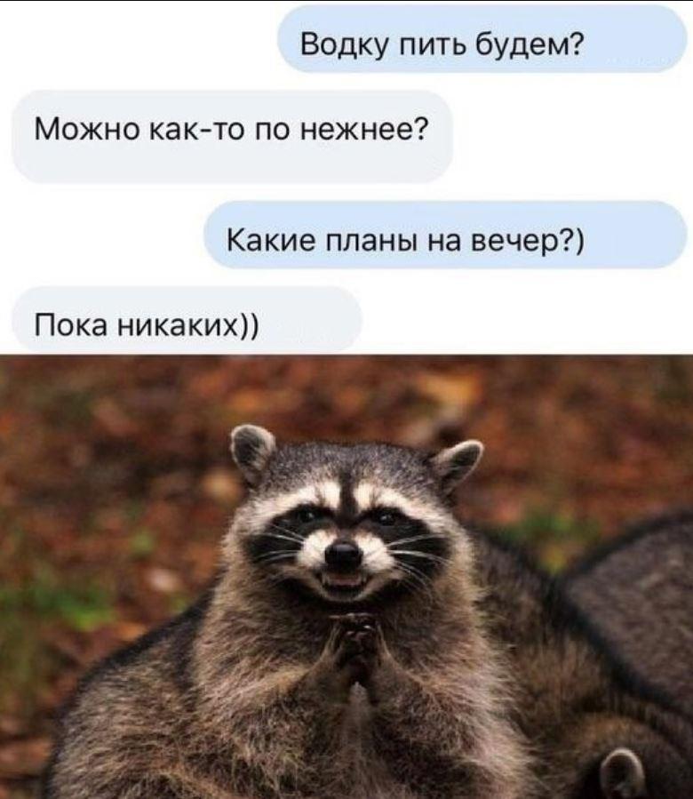 Больше всех Чёрную Пятницу ждал Робинзон Крузо — картинки прикольные смешные с надписями Больше всех Чёрную Пятницу ждал Робинзон Крузо — картинки прикольные смешные с надписями