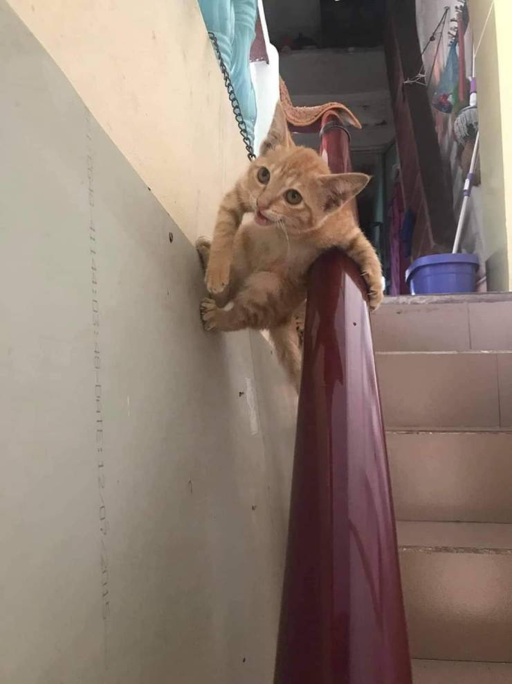 Подборка смешных картинок. Вечерний выпуск Подборка смешных картинок. Вечерний выпуск приколы,смешные картинки,юмор