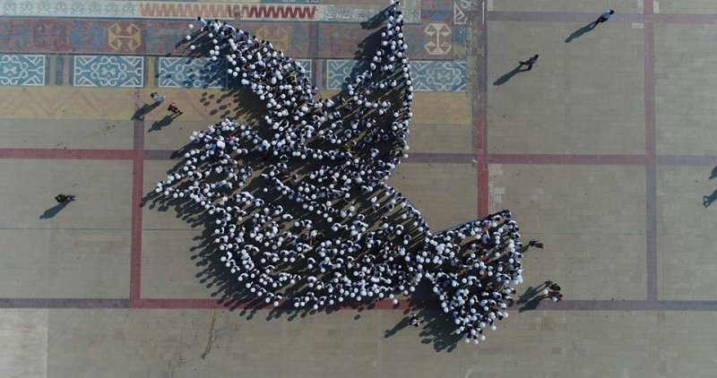 Флешмоб голубь. Флешмоб голубь. Флешмоб голубь. Мариуполь площадь свободы голуби. Флешмоб голубь.