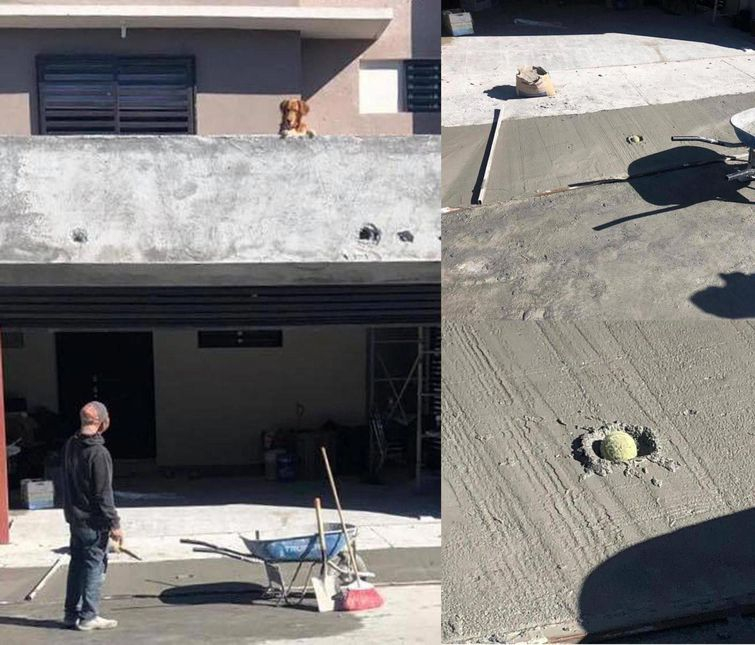 25 невезучих людей, которые страдали за то, чтобы вам было смешно 25 невезучих людей, которые страдали за то, чтобы вам было смешно картинки