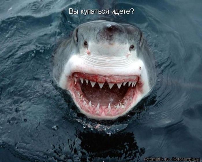 Мысли вслух :)