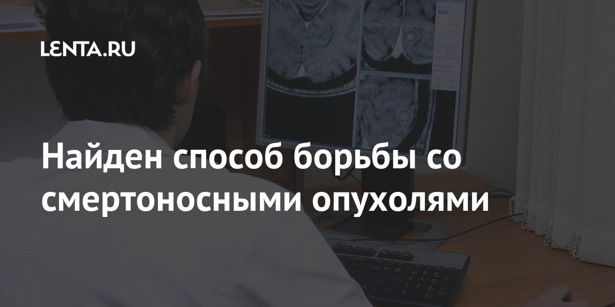 Найден способ борьбы со смертоносными опухолями опухоли, клетки, мозга, присутствует, Также, поддерживает, который, белка, уровни, высокие, наблюдаются, Ученые, играющий, клетках, продемонстрировали, изученнойУченые, наименее, является, подгрупп, несколько