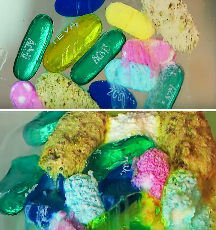 Лучше любого учебника: 20+ изображений об анатомии человека, которые вас удивят Лучше любого учебника: 20+ изображений об анатомии человека, которые вас удивят анатомия,медицина,наука,организм