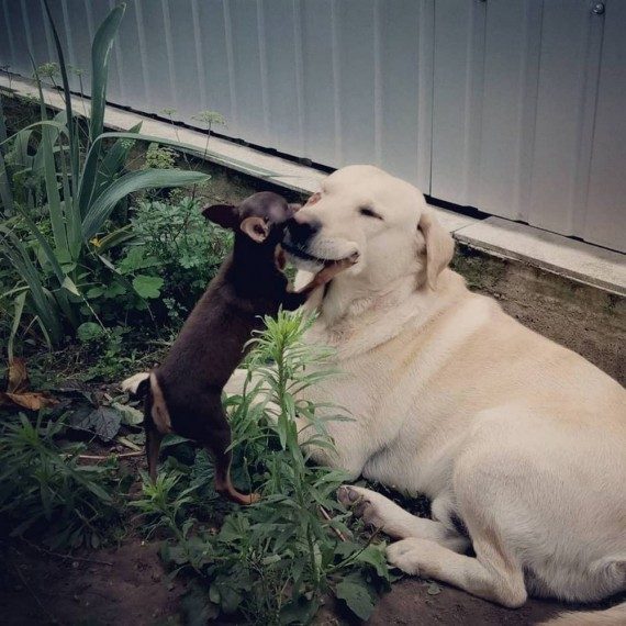 Позитивная фотоподборка 