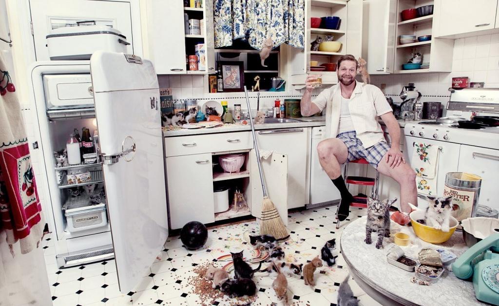 �������� ���������� ������, �������� 2016