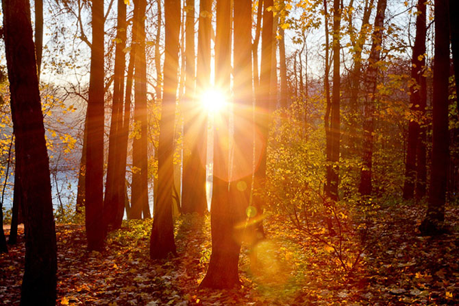 15 мест, где осень особенно прекрасна 15 мест, где осень особенно прекрасна природа