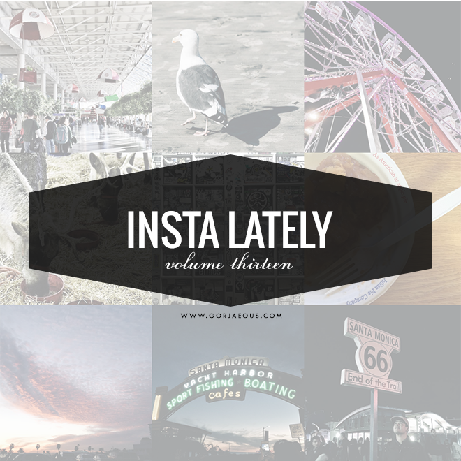 Insta Lately: Vol. 13 | SCATTERBRAIN