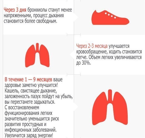 Не курите! курение, факты