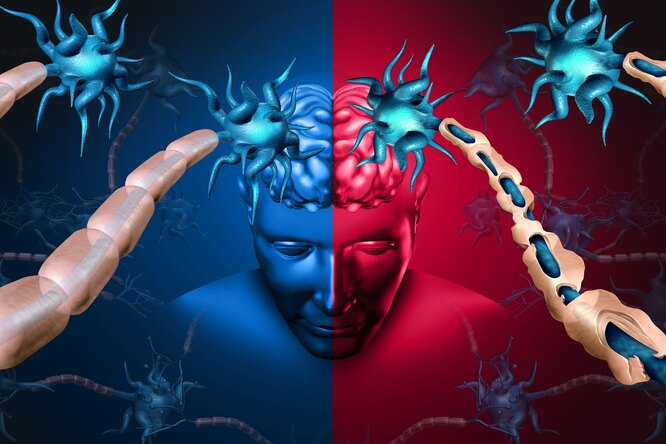 «Становятся заметны, когда пострадало более 50% нервов»: невролог рассказала о симптомах рассеянного склероза здоровье,опасные болезни,симптомы,хронические заболевания