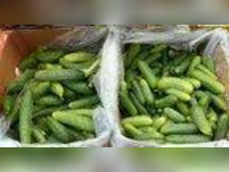 Минэкономразвития заявил о резком падении цен на огурцы в Забайкалье
