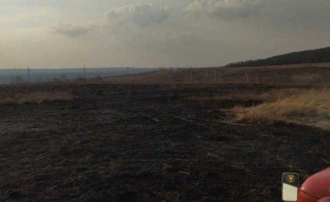 В Татарстане зафиксировали первый в этом году пожар от возгорания сухой травы