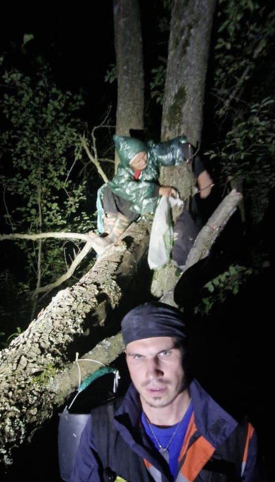82-летняя женщина выживала в лесу, привязав себя верёвкой к дереву