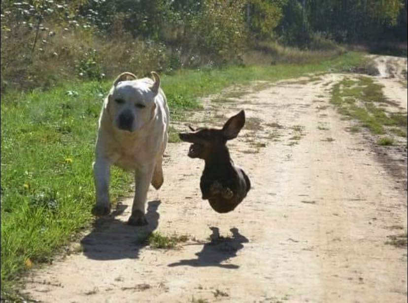 Юмор из интернета 664 позитив,смех,улыбки,юмор