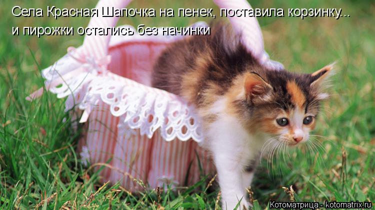 Котоматрица: Села Красная Шапочка на пенек, поставила корзинку... и пирожки остались без начинки