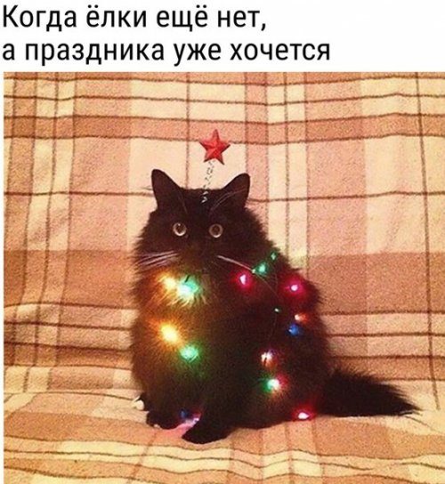 Приколы в фотомемах
