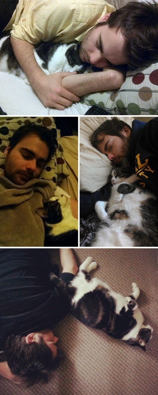 "Когда бы мой муж ни заснул, наша кошка тут же укладывается к нему" всегда рядом, животные, забавно, звери и их хозяева, кошки, ревность, смешно, собаки