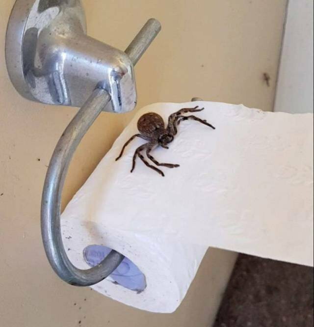 Вы думаете только у вас был плохой день? Вы думаете только у вас был плохой день? Отдых