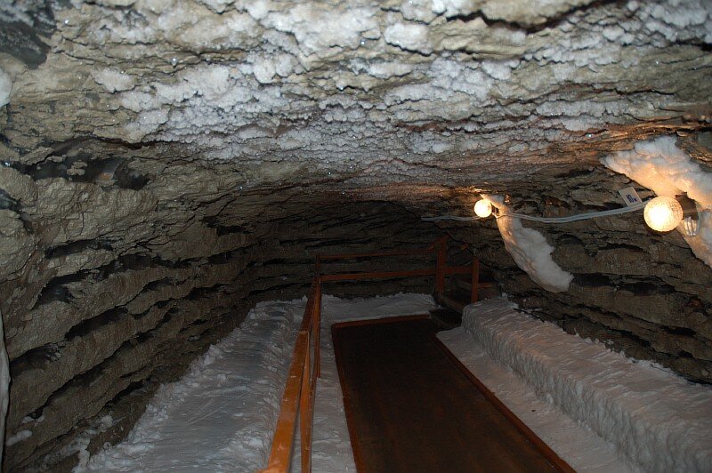 Источник: http://www.susun.ru/rasnoe/muzejj_vechnojj_merzloty_puteshestvie_skvoz_tysjacheletija