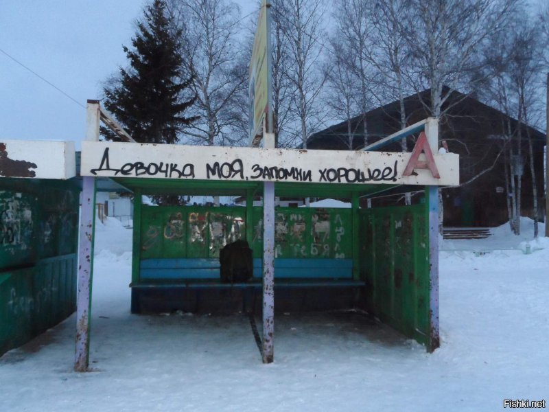 10+ надписей на асфальте, которые бескомпромиссны, как жизнь в России 